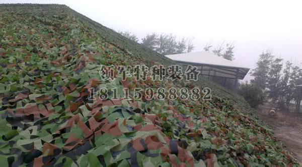 偽裝網(wǎng)
